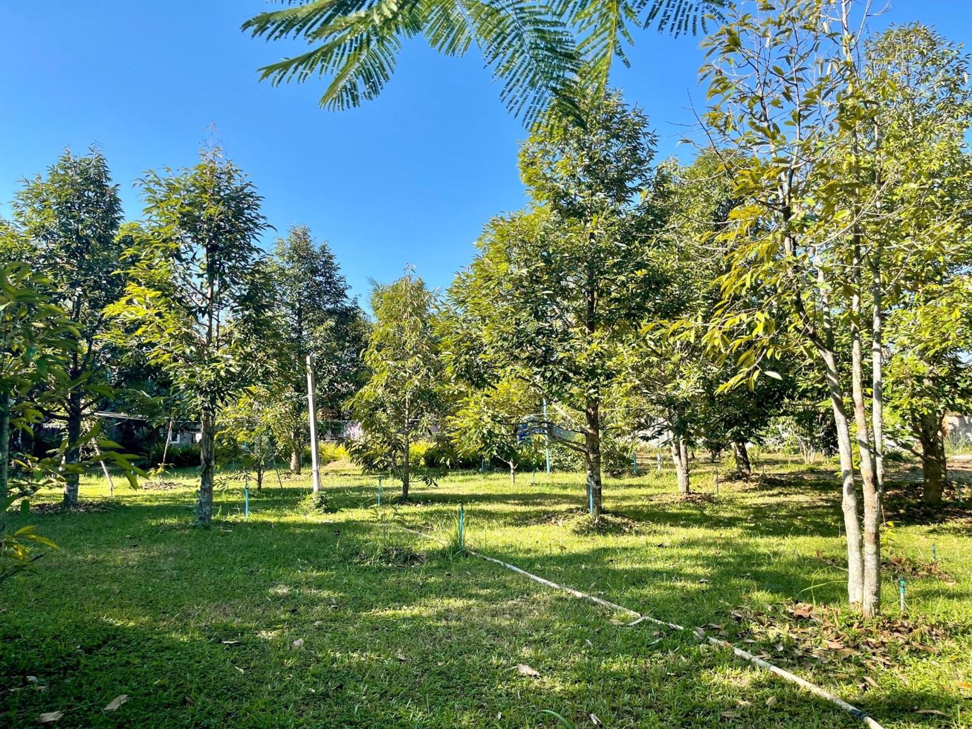 Panpim Resort Noen Hom Exterior photo